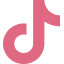 TikTok icon