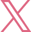 X icon